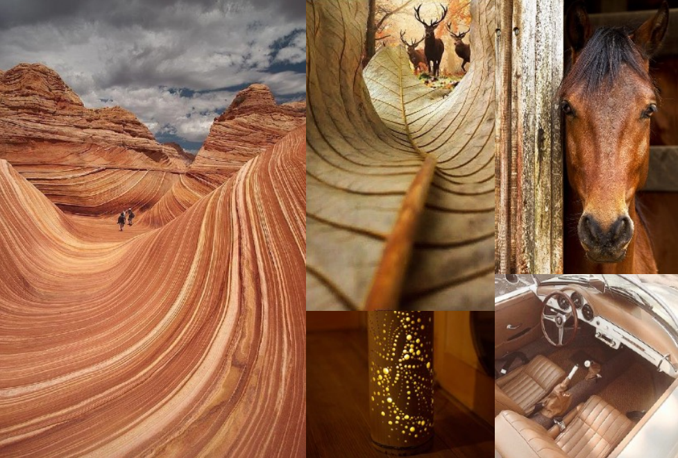 永利集团app官方版下载